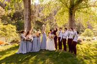 Formal Family & Wedding Party